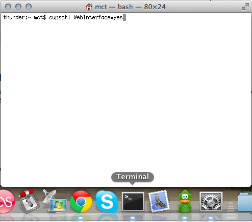 Type in the terminal