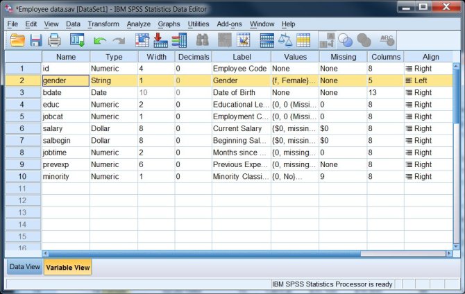 Spss Data Editor