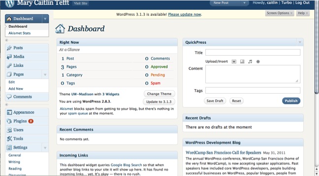 WordPress Admin Dashboard