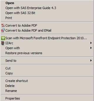 Context menu for SAS output files
