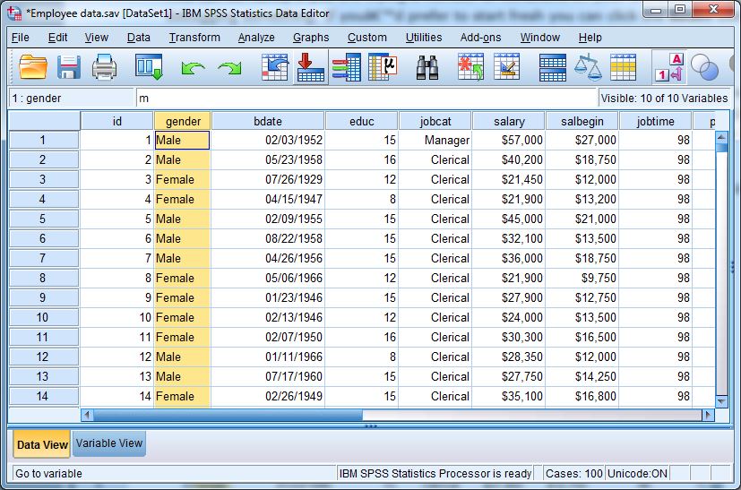 Data View