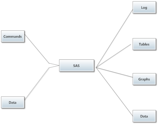SAS Workflow